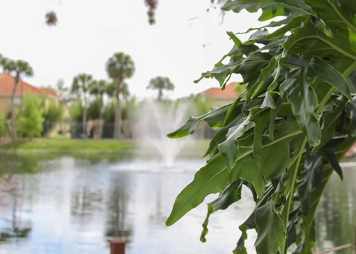 Kissimmee Hotels for Romantic Getaway